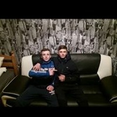 oshea dog