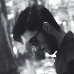 Kamy