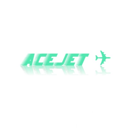 AceJet ✈’s avatar
