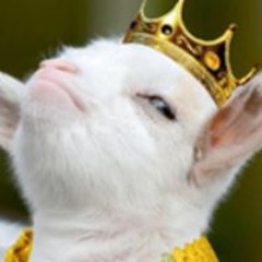 Rodolfo Andrés Ramirez