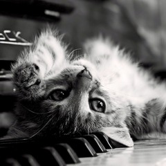 PianistSeb