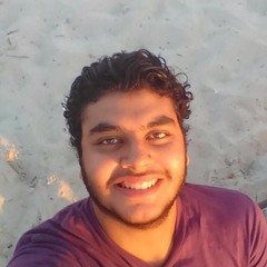 Amr Farouk 22