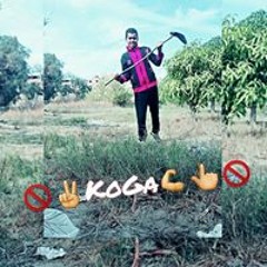 nour habeb