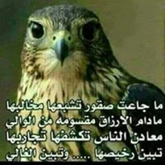 Mohammed Abo Hamad