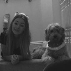 Nicola 'hills' Steers