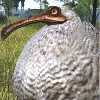 Ff14 セフィロト戦 Sephiroth Bgm By Mori Soba