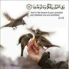 أم هشام رجوب