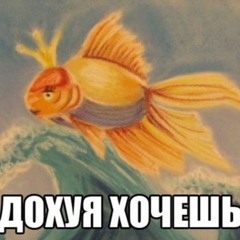 Lui229