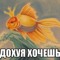 Lui229