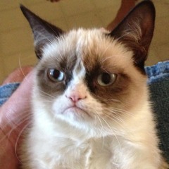Grumpy Emery
