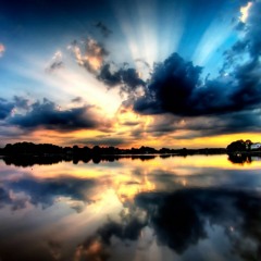 DaydreamerFL8