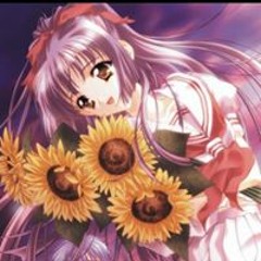 الزنبقة البيضاء