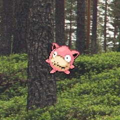 ◜ 𝚏𝚛𝚜𝚝.𝚋𝚕𝚍 ◞