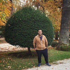 Hossam Mahmoud oVoxo
