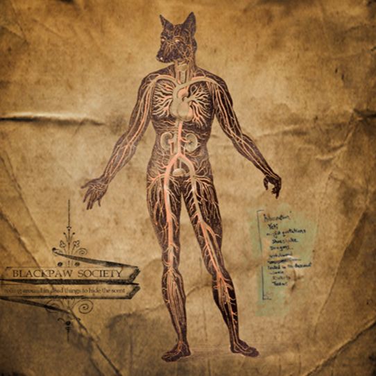 blackpaw society podcast artwork