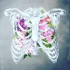 Amira.nasser1112