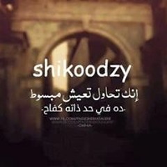Alaa Alool