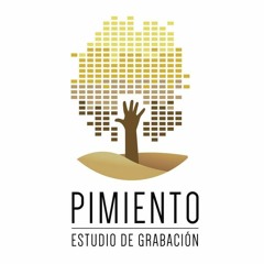 PIMIENTO Estudio de Grabación