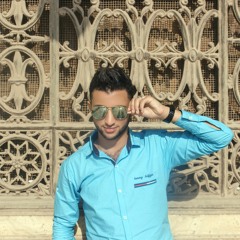 bassam abdelnaby