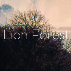 Lion Forest