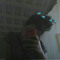 eduarda freire