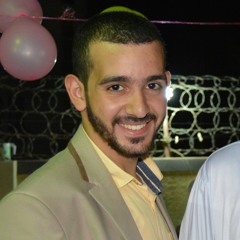 Mohamed Swelam 4