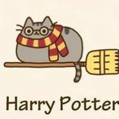 Harry Potter Pusheen
