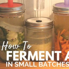 ferment