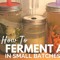 ferment