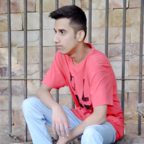 Salman Naeem ☑️’s avatar
