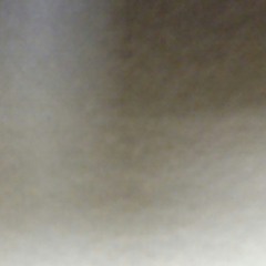 jaylen