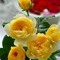 Rubbiya Mahmood