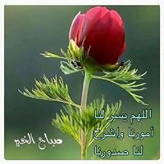 ريهام السيد