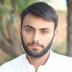 Hassnain Hassan