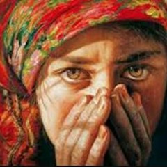 Nour Abdelhamed