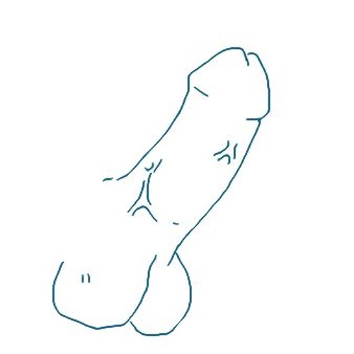 No Drawing Penis