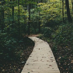 Read all about it - Emeli Sande (cover by Hannah Meier)