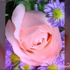 ေဟမာန္ ဝႆ န္