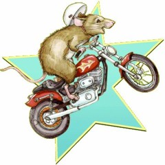 ralph_s_mouse