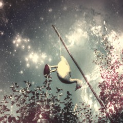 Sjoerd Rombout Music