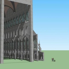 DJ stacey blood transfusion