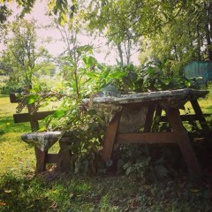 Honeywater Cover-Evergreen