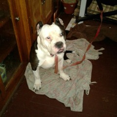 ĺïĺ§høřţýķäýķäý.x💀😻💞👑