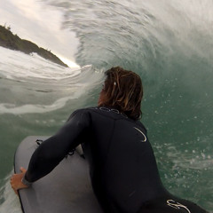 mitch nolan