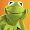 Taylor the Frog