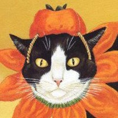 cat5