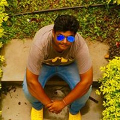 Gokul Krishna