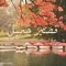 ألغاز الحياة