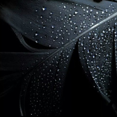 ده اللى وانا معاه..