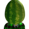 WaterMelon Playz